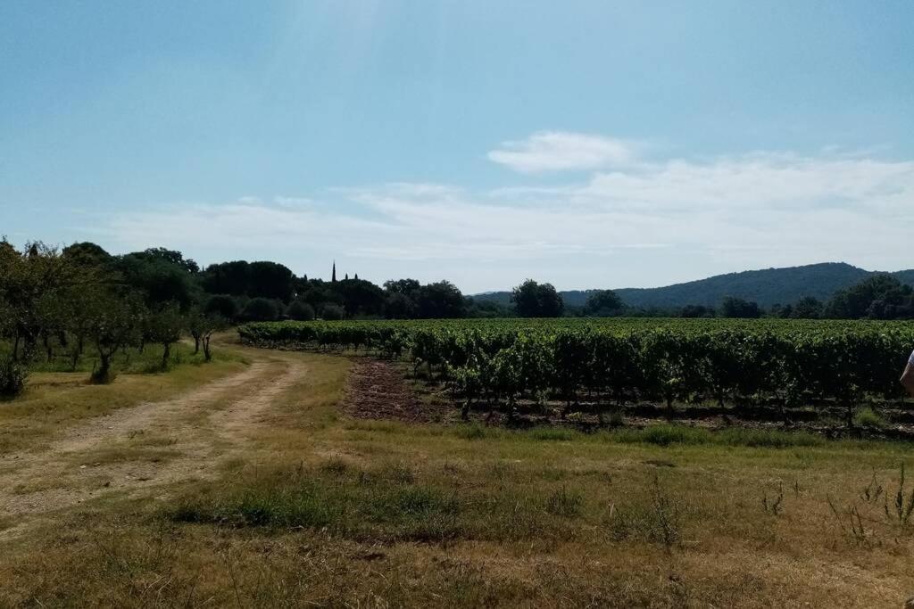 Charmant Appartement T2 Au Coeur Des Vignes Cogolin Buitenkant foto