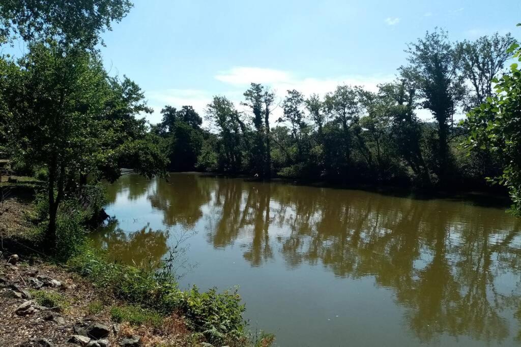 Charmant Appartement T2 Au Coeur Des Vignes Cogolin Buitenkant foto