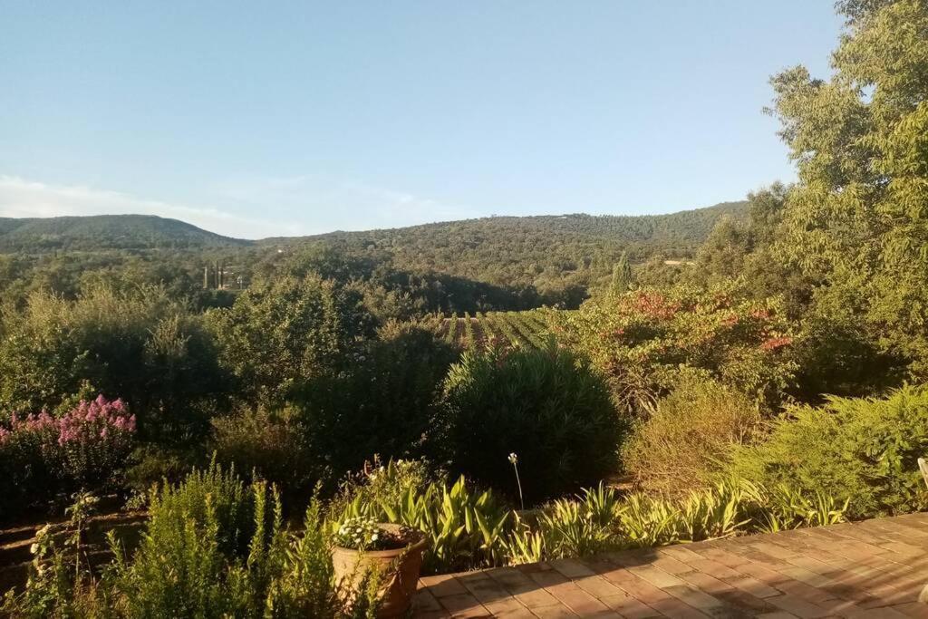 Charmant Appartement T2 Au Coeur Des Vignes Cogolin Buitenkant foto