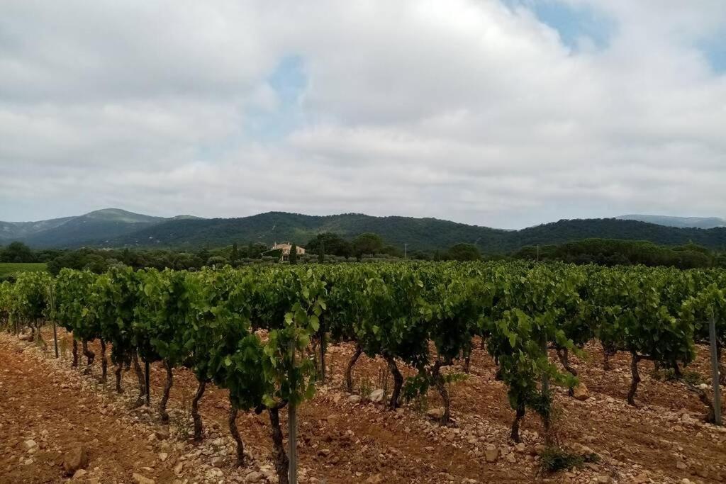 Charmant Appartement T2 Au Coeur Des Vignes Cogolin Buitenkant foto