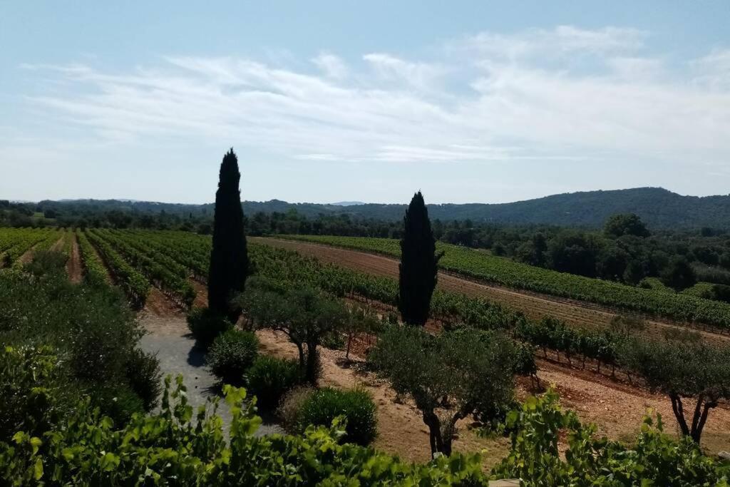 Charmant Appartement T2 Au Coeur Des Vignes Cogolin Buitenkant foto