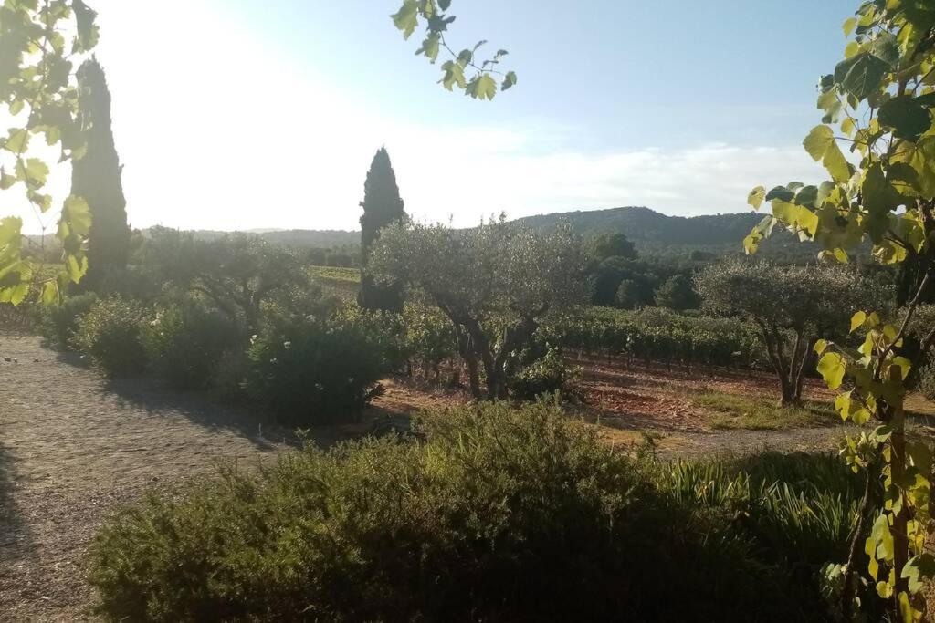 Charmant Appartement T2 Au Coeur Des Vignes Cogolin Buitenkant foto